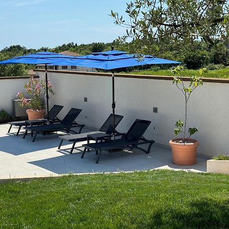 Villa Victoria Istra - Heated Pool Nova Vas  Екстер'єр фото