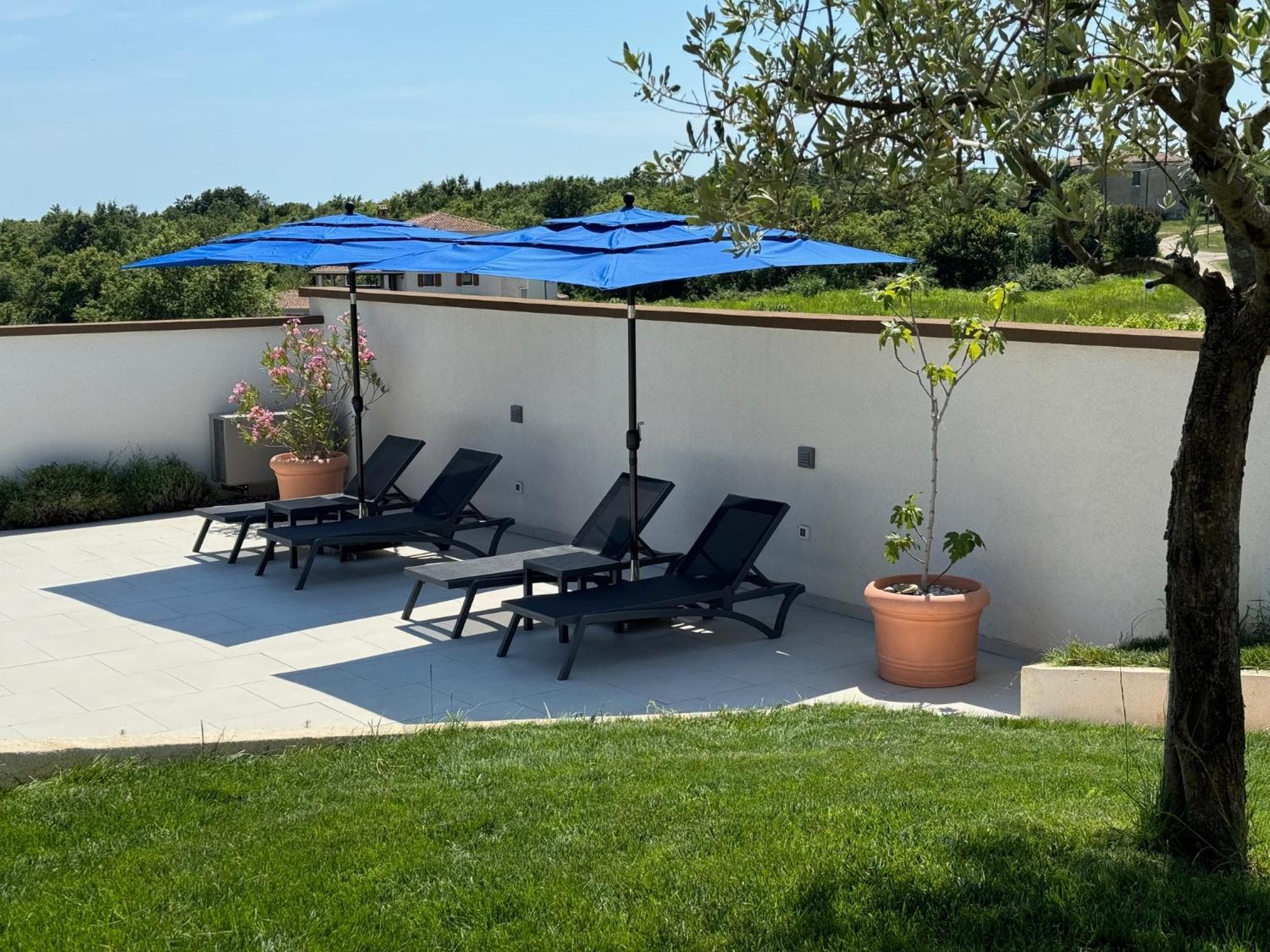 Villa Victoria Istra - Heated Pool Nova Vas  Екстер'єр фото